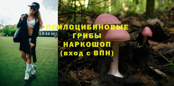 Альфа ПВП Алексеевка