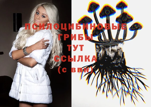 Альфа ПВП Алексеевка